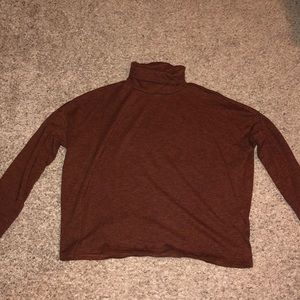 Cropped long sleeve turtle neck